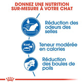 Royal Canin Aliment Sec pour Chat Indoor 27
